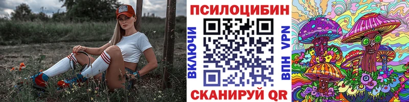 гидра ссылка Соль-Илецк Галлюциногенные грибы мицелий