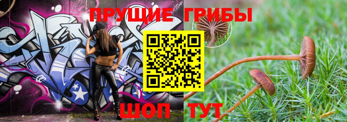 как найти   Вход с VPN  Соль-Илецк  Галлюциногенные грибы Magic Shrooms 